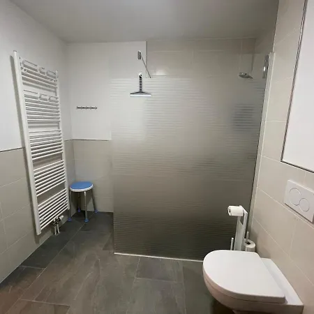 Apartment Mila Μπαντ Κίσινγκεν